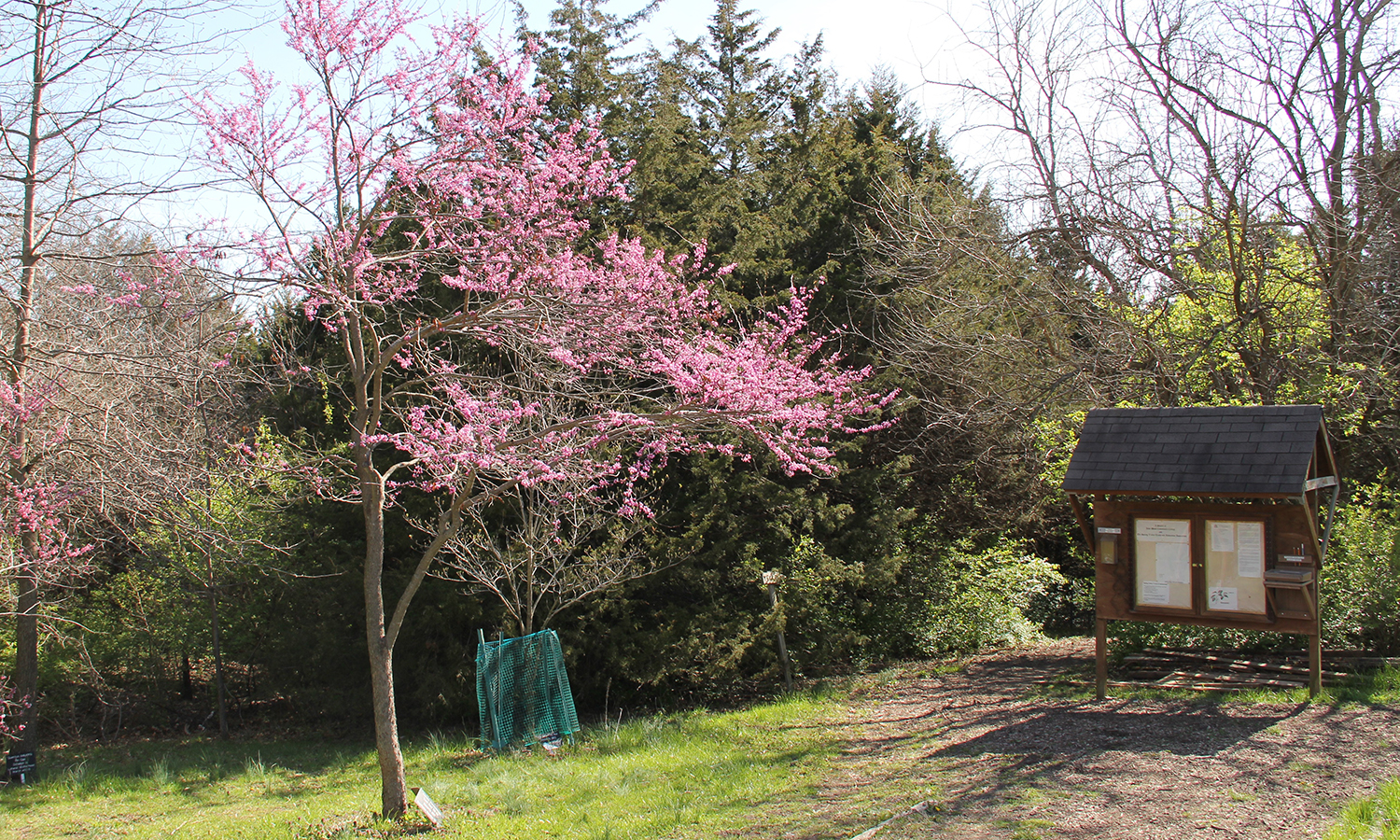 Arboretum