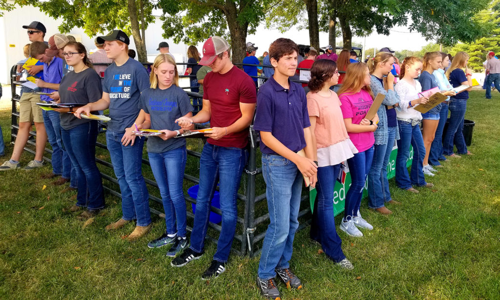 Students prepare to judge sheep