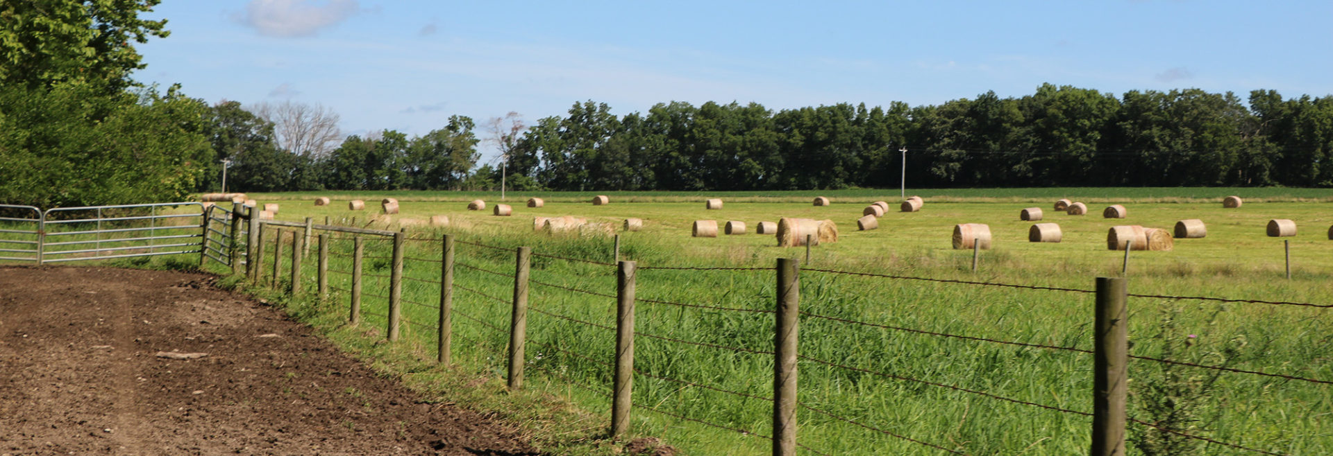 JWCC Ag Center Landscape