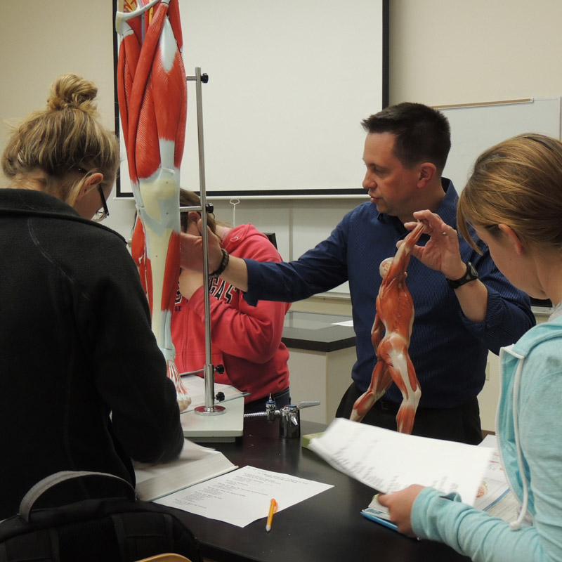 male instructor teaching class about the body