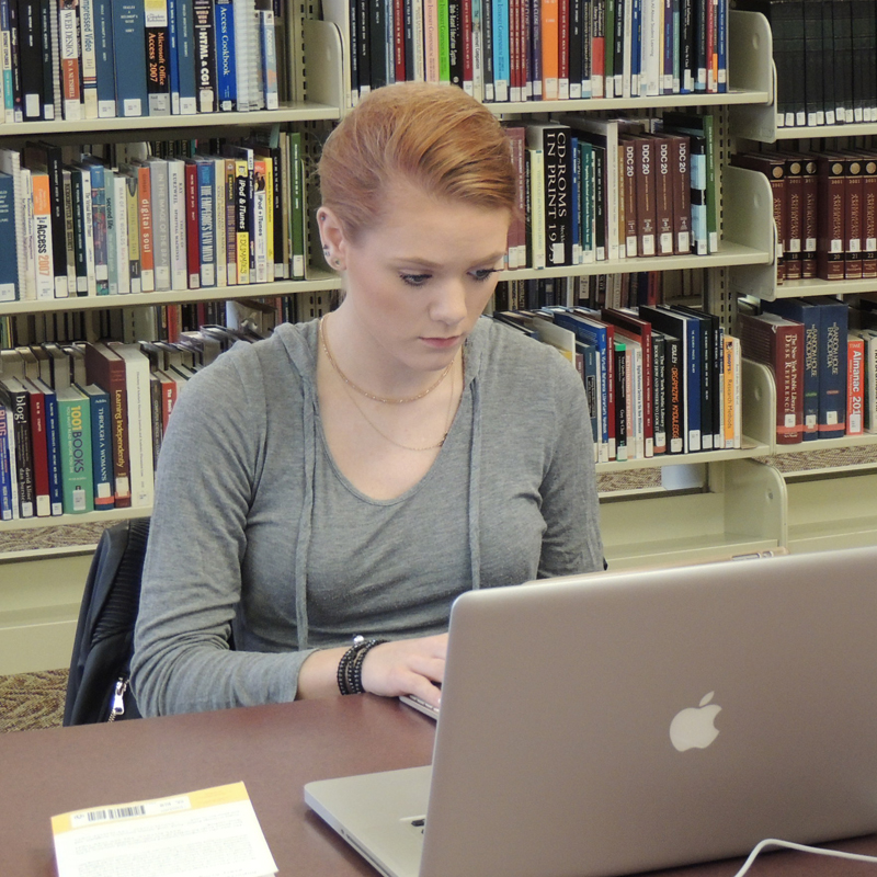 Girl doing work on her computer