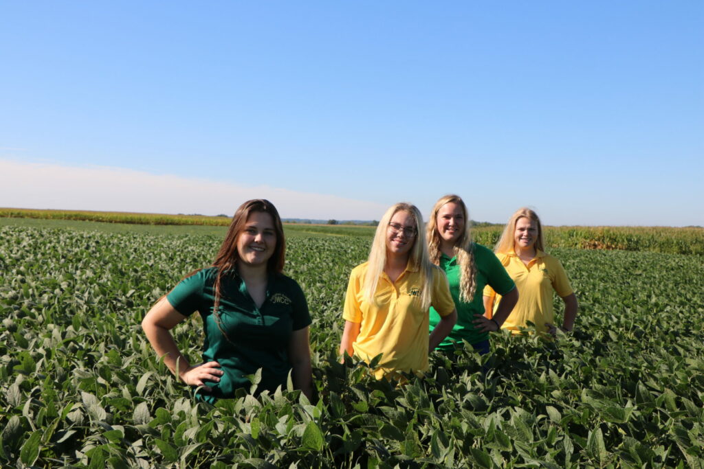 4 women stand with hands on hips in beanfield